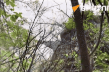 Đạn pháo "trăm phát, trăm trúng" của Nga bắn nổ tung siêu tăng Abrams