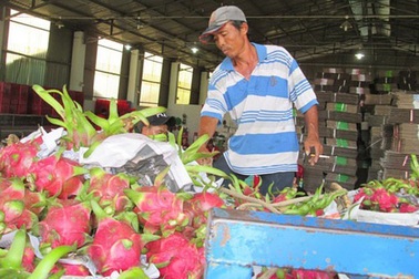 Trung Quốc "siết" nhập khẩu trái cây từ Việt Nam