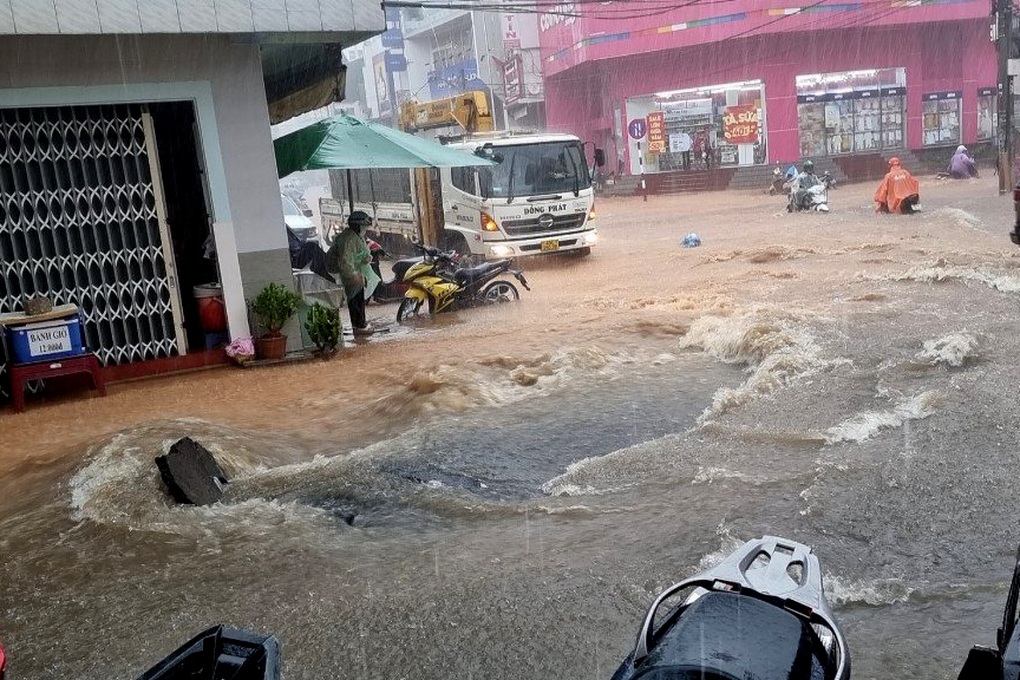 Đà Lạt lại ngập chỉ sau một trận mưa giữa trưa - 1 Đà Lạt lại ngập chỉ sau một trận mưa giữa trưa - 1