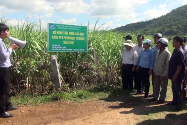 Nông dân trồng mía bằng hệ thống tự động