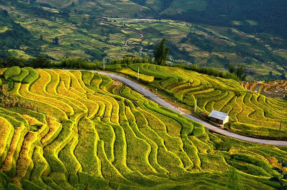 Sắc thu vàng quyến rũ trên vùng cao Tây Bắc - 3 Sắc thu vàng quyến rũ trên vùng cao Tây Bắc - 3