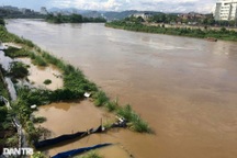 Lũ lớn xuất hiện trên sông Hồng sau trận "mưa vàng"