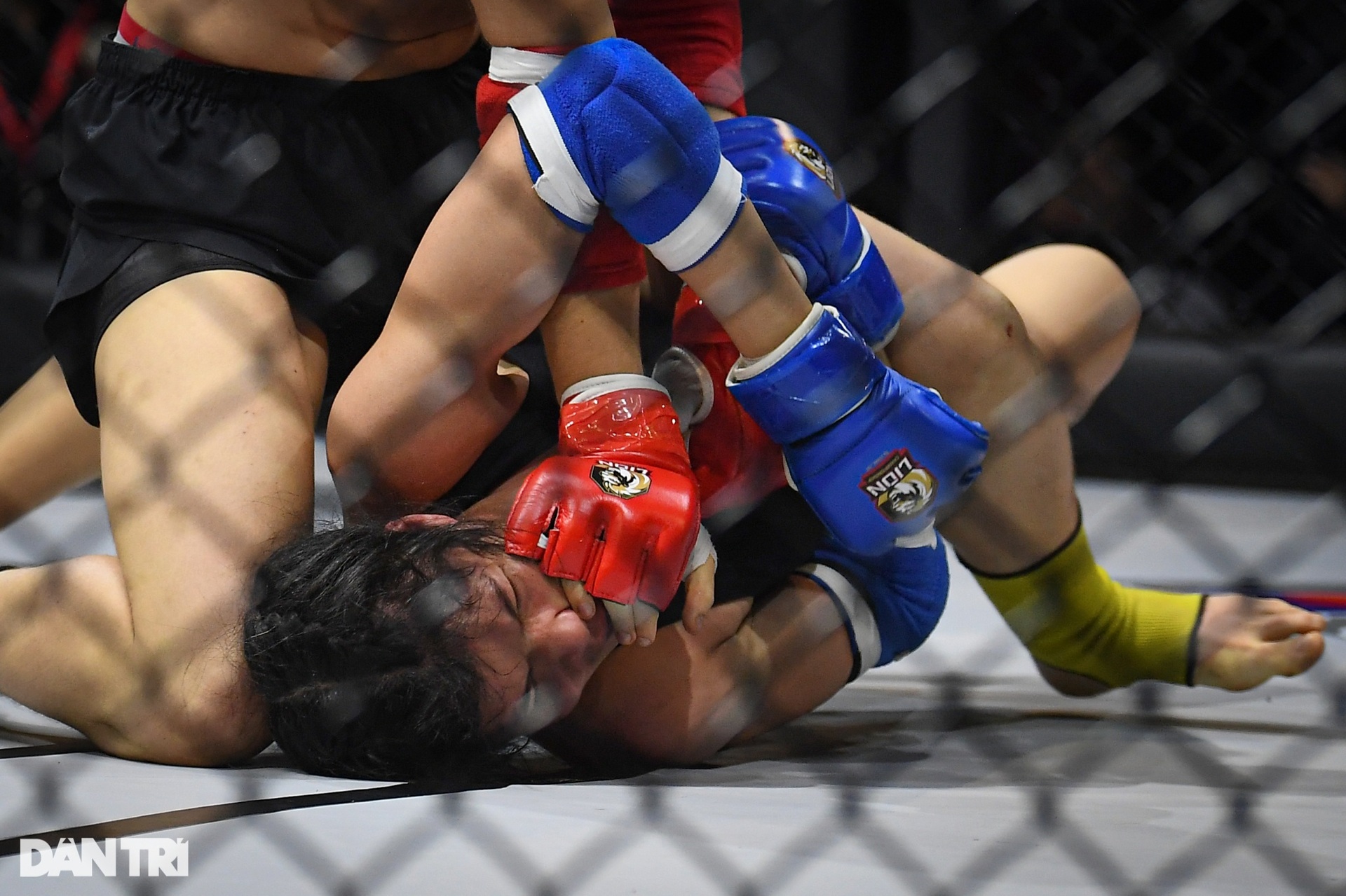 Bóng hồng Hungary hạ knock-out võ sĩ Việt Nam trong ngày khai màn MMA 2023 - 9 Bóng hồng Hungary hạ knock-out võ sĩ Việt Nam trong ngày khai màn MMA 2023 - 9