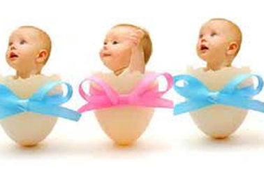 Thẩm quyền xử lý kỷ luật viên chức sinh con thứ 3