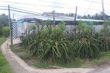 Ba mẹ con tử vong nghi do uống thuốc sâu tự tử