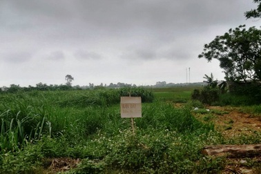 Đang bị truy nã vẫn lừa bán đất ảo, chiếm đoạt tài sản