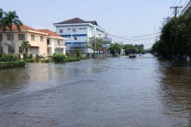 Đường trong khu công nghiệp ở Tây Ninh ngập gần 1 tuần do cống bị chặn