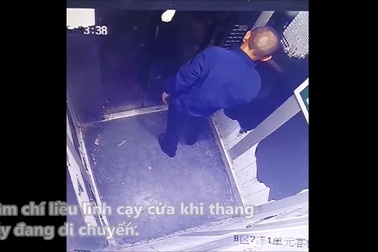 Sai lầm của chủ khiến chó cưng suýt mất mạng