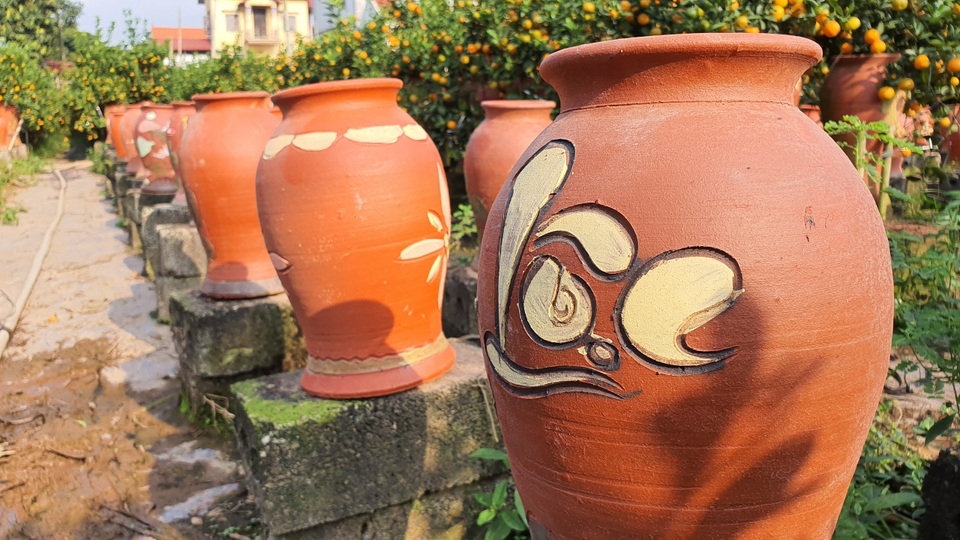 Năm ngoái được giá, năm nay cả làng đua nhau trồng quất lọ - 6 Năm ngoái được giá, năm nay cả làng đua nhau trồng quất lọ - 6