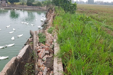 Dự án nuôi trồng thủy sản gần 12 tỷ đồng bỏ hoang hơn 10 năm