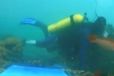 Vẽ tranh dưới đáy đại dương