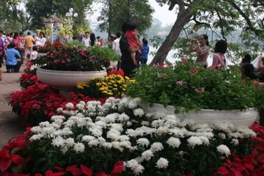 Háo hức đợi chờ Lễ hội hoa Hà Nội 2010