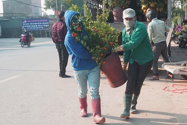 Lao động thời vụ căng sức làm việc, kiếm 300 nghìn/ngày ở các "vựa" hoa Tết