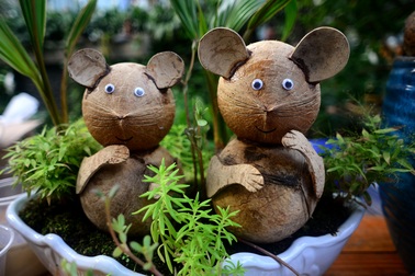 Bonsai hình chuột từ dừa khô thu hút dịp cuối năm