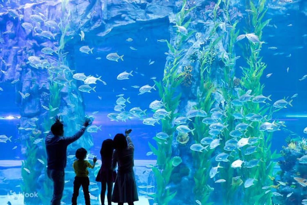 Thủy cung 9.000m2 ở Hà Nội: Khách nói ít sinh vật, vẫn còn bể trống - 1 Thủy cung 9.000m2 ở Hà Nội: Khách nói ít sinh vật, vẫn còn bể trống - 1