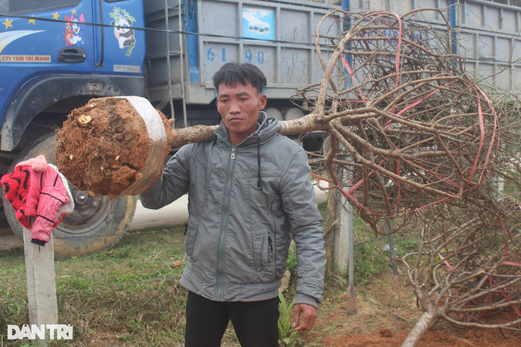 Sống khỏe dịp cận Tết với việc... ăn theo thương lái - 6 Sống khỏe dịp cận Tết với việc... ăn theo thương lái - 6