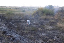 Houthi tuyên bố bắn tên lửa siêu vượt âm xuyên lá chắn của Israel