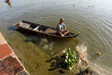 Ngày đưa "Táo quân" về trời: Cá vừa thả đã bị "hốt"