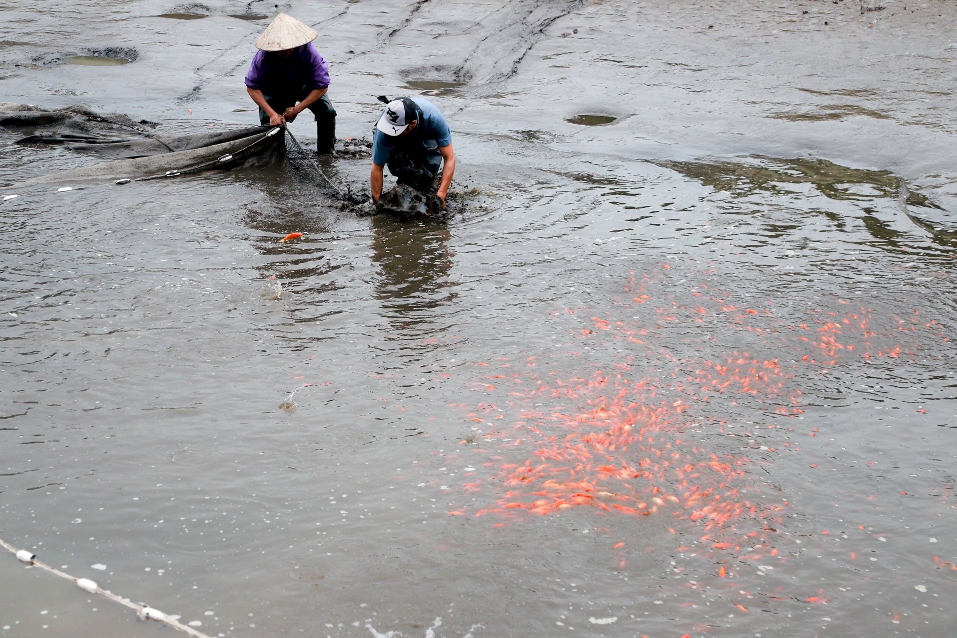 Làng nghề sản xuất phương tiện cho ông Công, ông Táo hối hả thu hoạch - 3