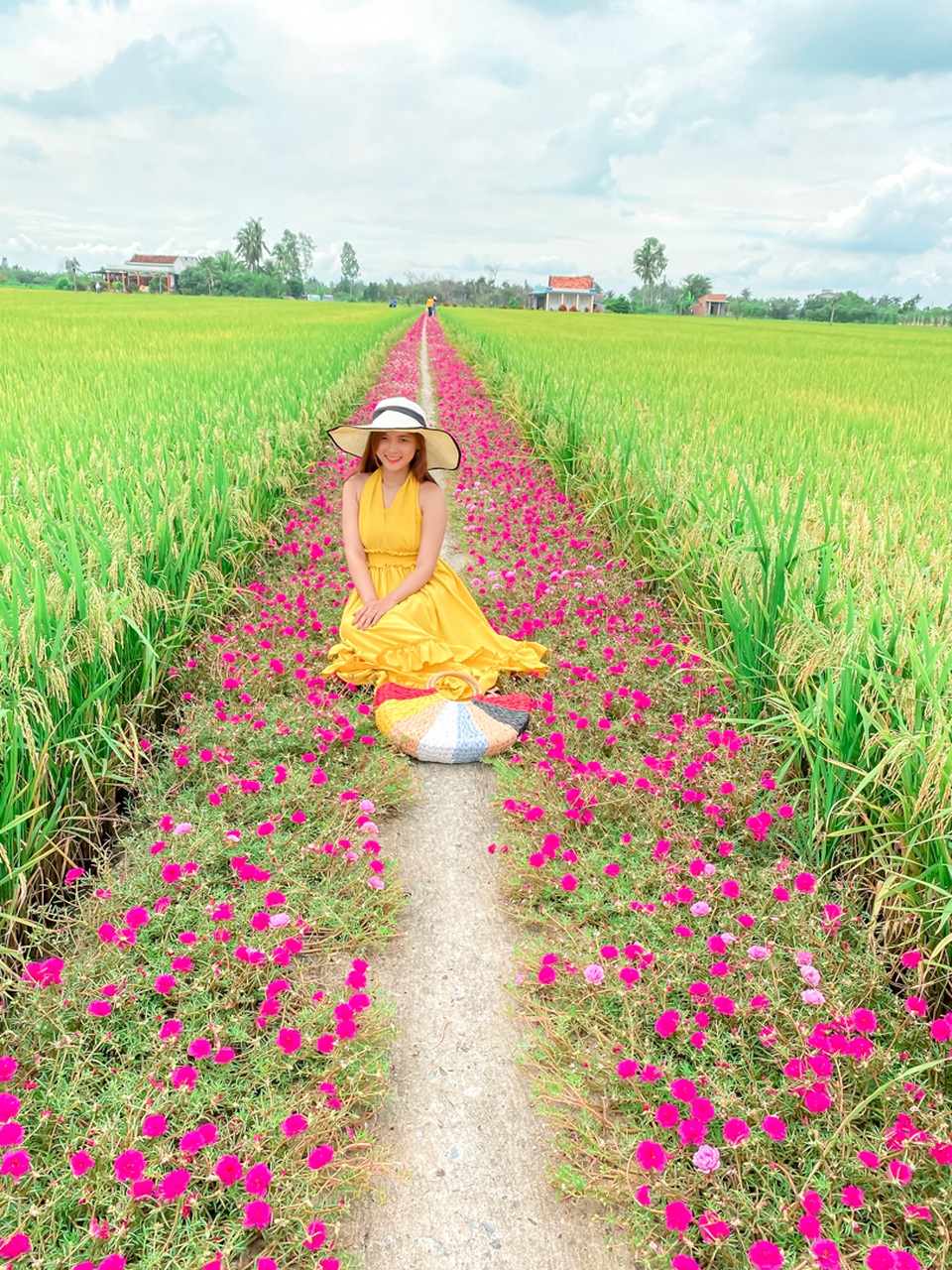 Hướng dẫn tới đường hoa mười giờ đẹp nhất Gò Công - 3 Hướng dẫn tới đường hoa mười giờ đẹp nhất Gò Công - 3