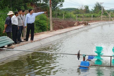 Lão nông làm gì cũng...lãi lớn