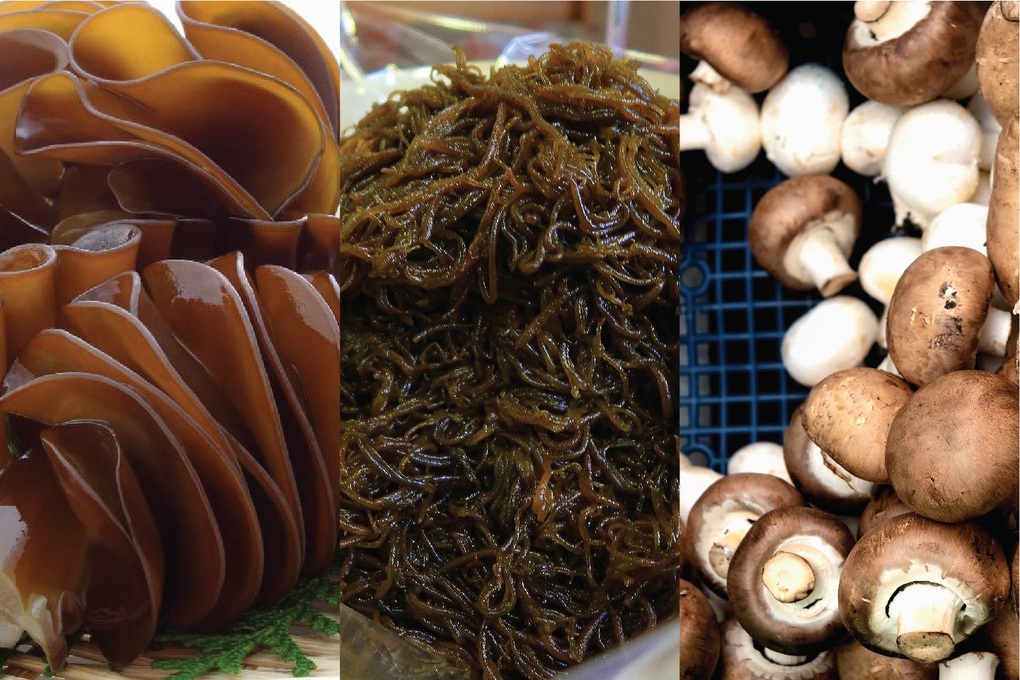 Tăng cường hệ miễn dịch - chìa khóa trong điều trị ung thư phổi - 2 Tăng cường hệ miễn dịch - chìa khóa trong điều trị ung thư phổi - 2