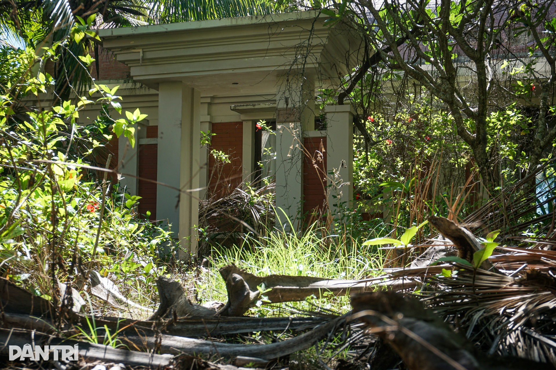 Cỏ phủ kín khu nghỉ dưỡng 12 triệu USD ven biển Đà Nẵng - 7 Cỏ phủ kín khu nghỉ dưỡng 12 triệu USD ven biển Đà Nẵng - 7