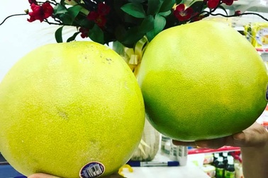 Ham của lạ, dân Việt ăn bưởi Mỹ giá nửa triệu đồng/quả