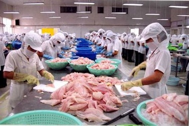 Doanh nghiệp thủy sản “đối đầu" với Bộ Nông nghiệp