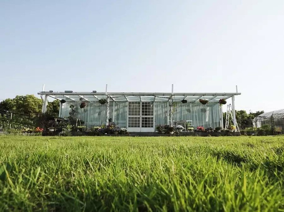 Cô gái 19 tuổi bỏ phố về quê cải tạo nhà vườn rộng 6.000m2 tặng bố mẹ - 13 Cô gái 19 tuổi bỏ phố về quê cải tạo nhà vườn rộng 6.000m2 tặng bố mẹ - 13