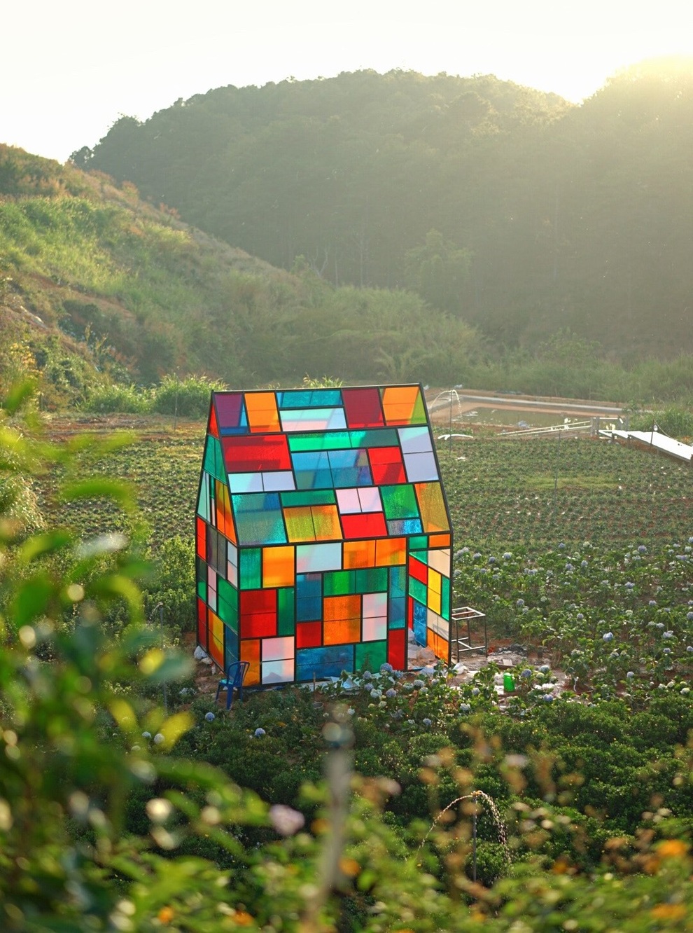 Gia đình Sài Gòn bỏ phố về rừng, biến đồi trọc thành trang trại trong mơ - 4