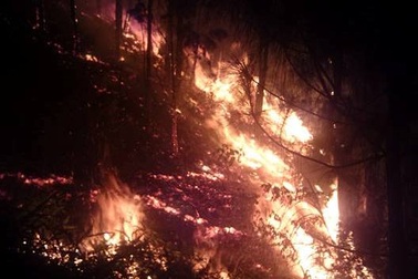 Công an, bộ đội trắng đêm dập lửa cứu rừng thông