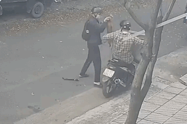 Khởi tố 2 tên trộm chó ở TPHCM bị tài xế ô tô tông ngã