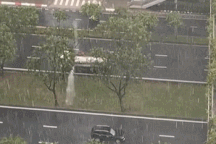 Chuyên gia nói gì về clip xe bồn tưới cây dưới trời mưa to?