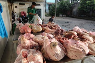 Cuối năm thịt bẩn tuồn vào thành phố 