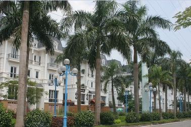 Thị trường bất động sản phía Tây “nóng” lên nhờ quy hoạch Hà Nội mới