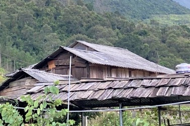 Nghịch tử sát hại bố đẻ rồi ăn lá ngón tự sát trong rừng