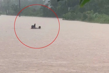 "Người hùng" liều mình cứu bé trai bị nước cuốn sau cuộc gọi ở Quảng Ninh