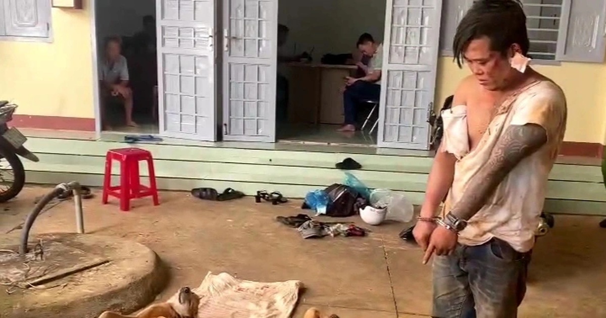 "Cẩu tặc" manh động đâm chủ nhà, xịt hơi cay chống trả công an