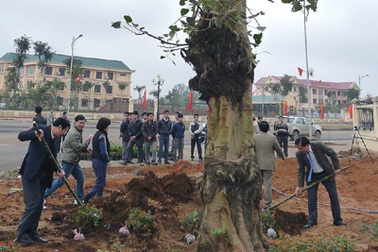 Phát động Tết trồng cây trên quê hương Bác