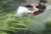 Vụ nam sinh đánh đập, dìm nữ sinh xuống nước: Yêu cầu xử nghiêm!