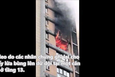 Kịch tính màn giải cứu 2 mẹ con bị mắc kẹt trong đám cháy chung cư cao tầng
