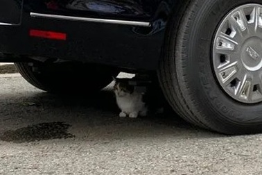 "Nhân vật quyền lực” thoải mái tiếp cận siêu xe "quái thú" của ông Trump tại Anh