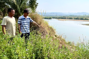 Gia Lai công bố tình huống khẩn cấp về sạt lở bờ sông, suối