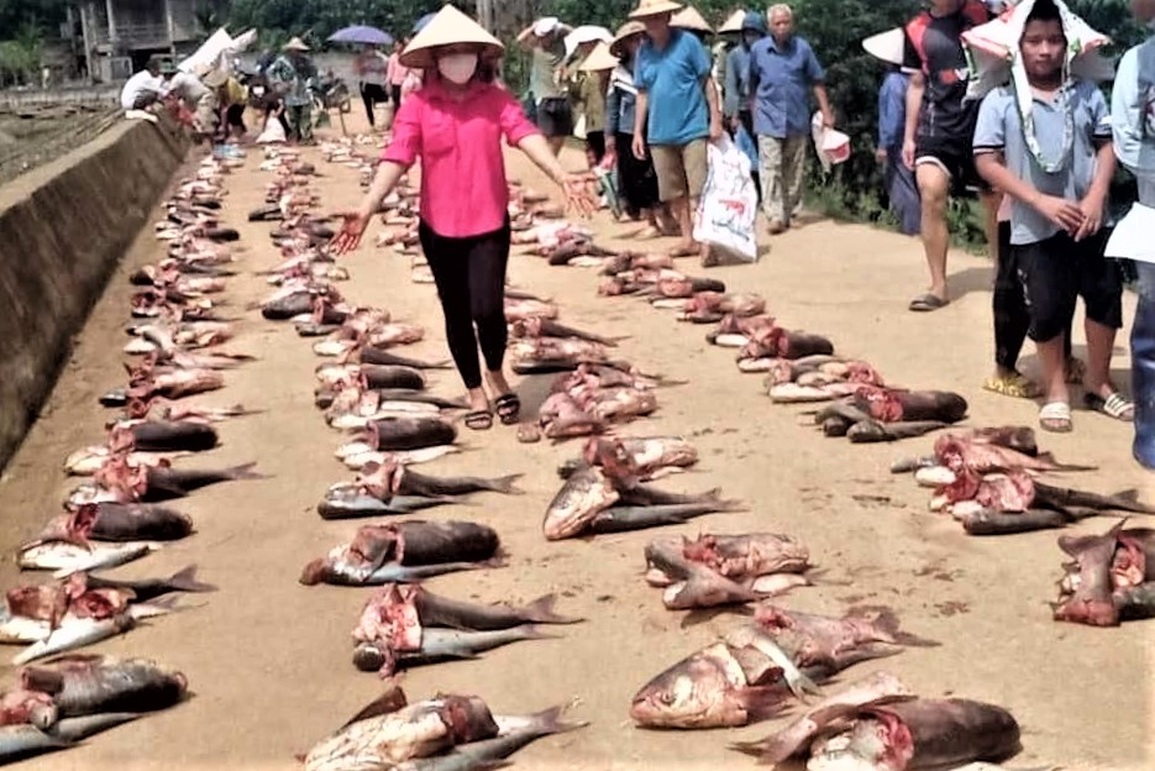 Cảnh cả làng chia cá thú vị ở Hòa Bình - 1 Cảnh cả làng chia cá thú vị ở Hòa Bình - 1