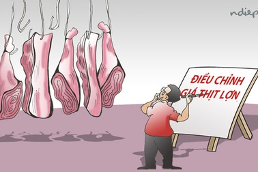 Làm sao để dân có thể mua thịt lợn với giá trên... tivi?