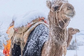 Tuyết rơi bất thường ở sa mạc nắng gắt khô cằn sau 30 năm: Chuyện khó lường