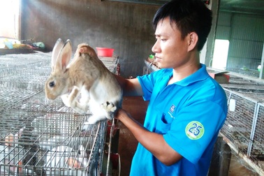 9x bỏ việc về quê nuôi thỏ, thu gần 300 triệu đồng/năm