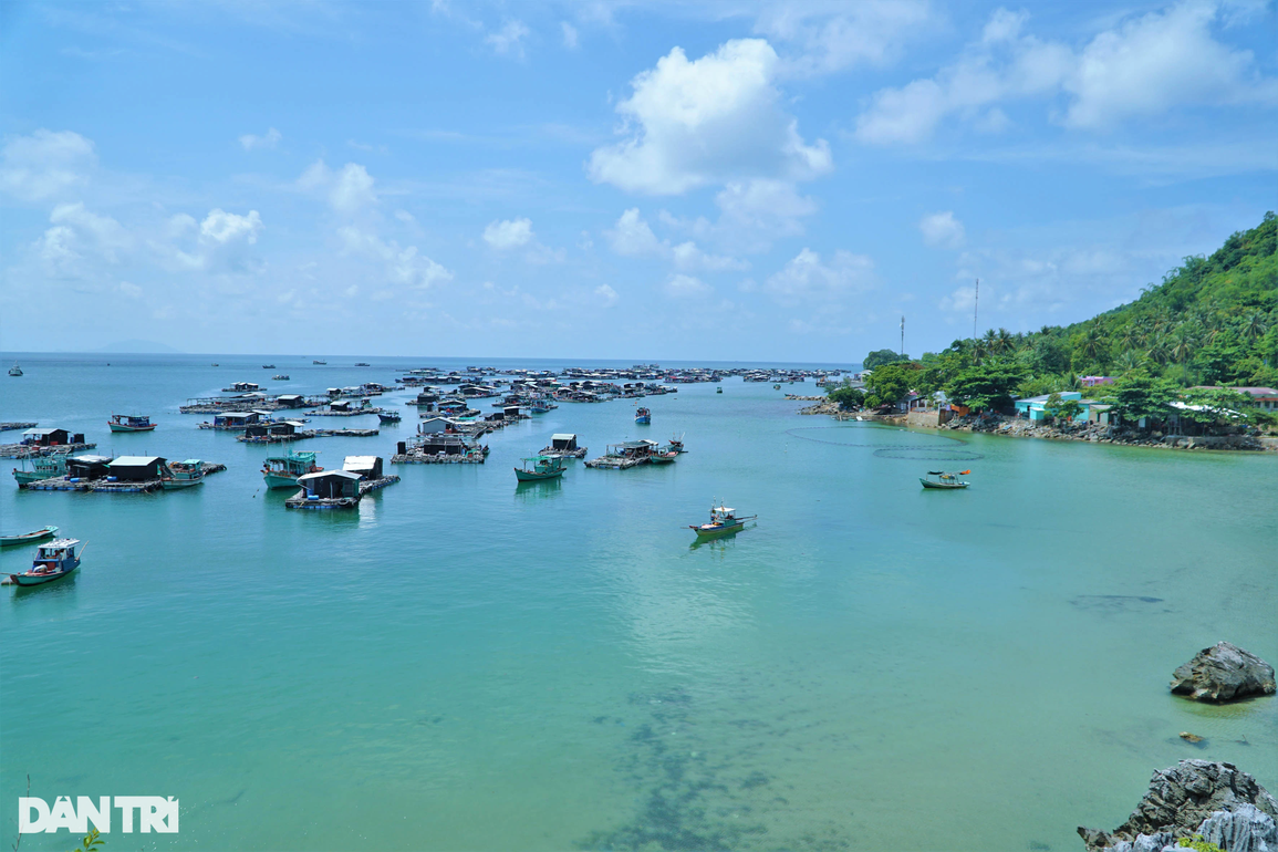 Kiếm trăm triệu khỏe re nhờ biến bè cá giữa biển thành điểm trải nghiệm - 1 Kiếm trăm triệu khỏe re nhờ biến bè cá giữa biển thành điểm trải nghiệm - 1