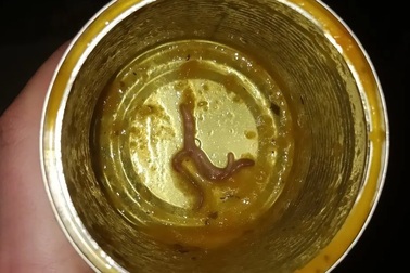 Ăn hết hộp súp mới thấy xác giun ở bên trong